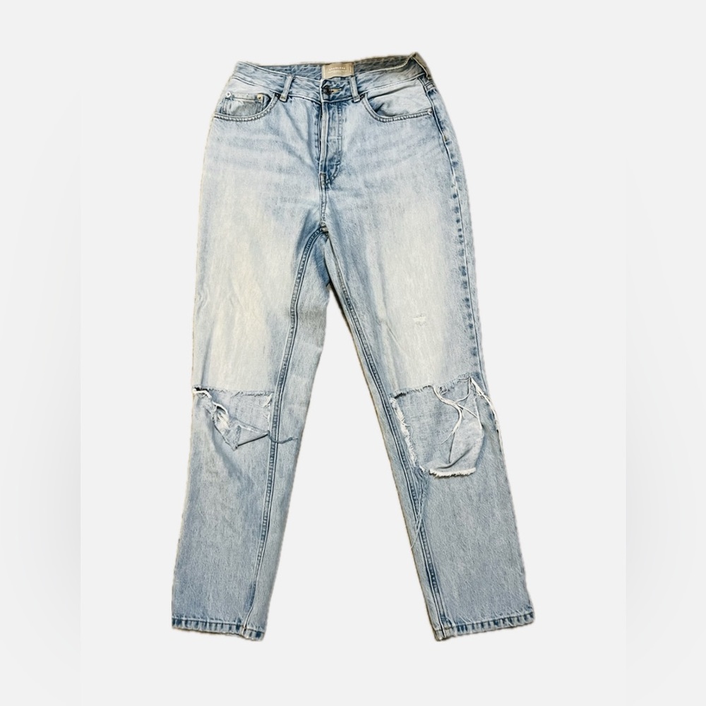 Everlane Ripped 90 Cheeky Jean